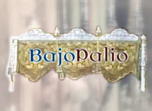 BAJO-PALIO-300x219